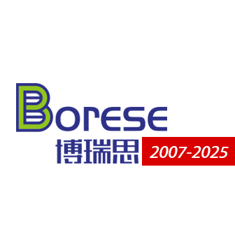 博瑞思网站建设公司十五年