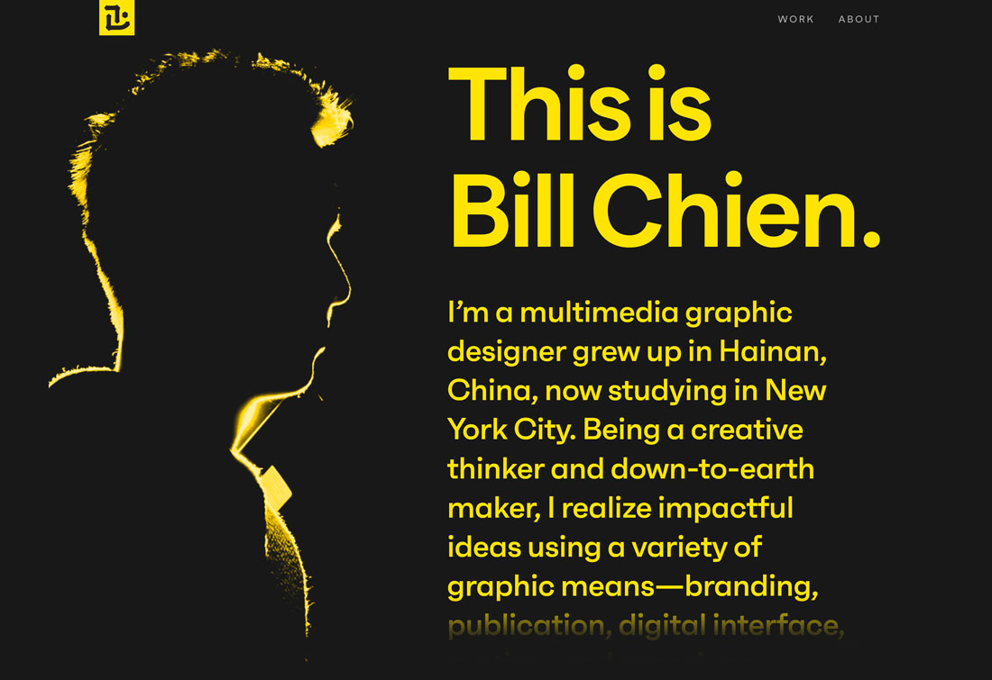 Homepage Bios
